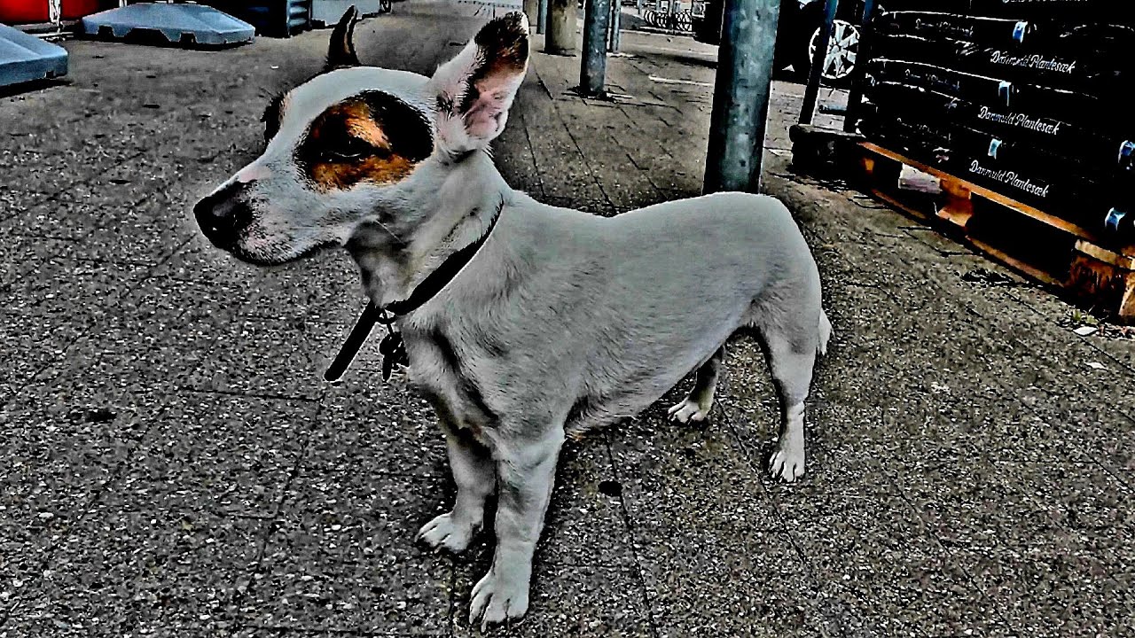 OSLO'DAN ZÜRİH'E pedallamak... Kamplı bisiklet turumuz 14.gün  4.bölüm (ROSTOCK yolundayız)