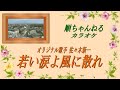 若い涙よ風に散れ/佐々木新一(カラオケ)