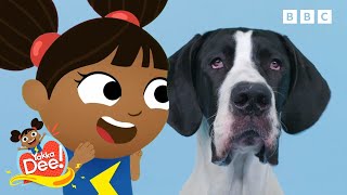 Four Legged Friends 🐶🐈 | Yakka Dee!