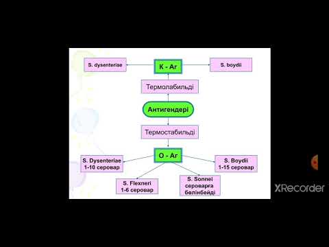 Бейне: Enterobacter cloacae шырышты қабық па?