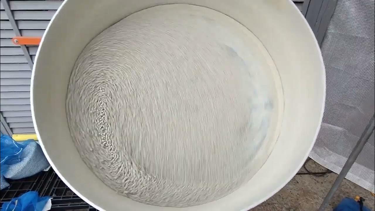 こしひかりBL種籾のカルパー粉粒剤コーティング作業 YouTube