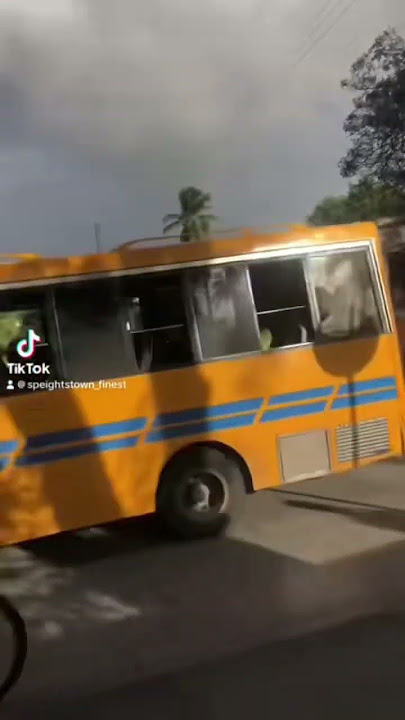 #b353 #barbados #minibus #minibüs #viral #shorts