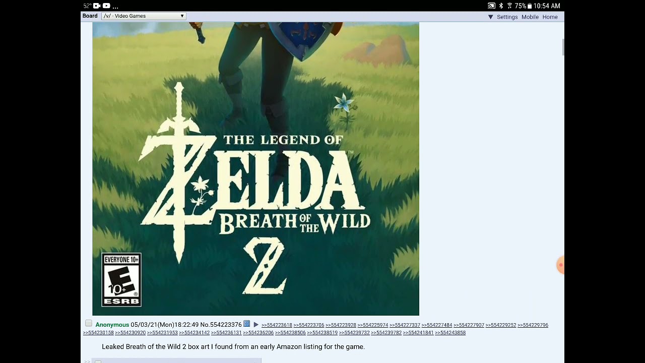 Zelda Botw2 Box Art Leak Youtube