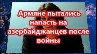 Армяне пытались напасть на азербайджанцев после во...ны: -  Бренда Шаффер