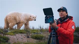We Walked With Wild POLAR BEARS in a World Without Ice
