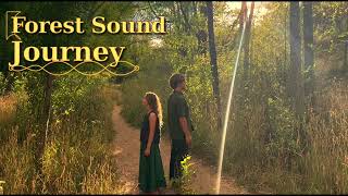 Forest Sound Journey Terra Sona
