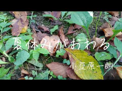 小豆原一朗(クオーツ星)「夏休みがおわる」自作MV