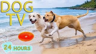 DOG TV 24/7: Best Videos Entertain for Dogs Help Anti-Anxiety at Home Alone - All Day Music for Dogs screenshot 2