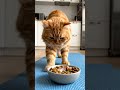 “True happiness comes from good health and balance in life.”