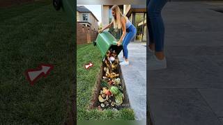 Garden in a waste pit 🤯