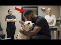 Pet Groomer Shamed a Nervous Dog — Then the Waiting Room Camera Went Public