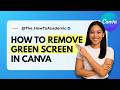 How to Remove Green Screen in Canva [Quick Guide]