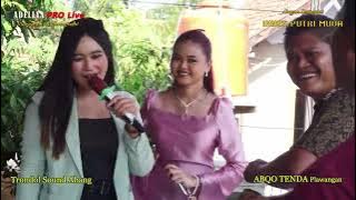 Unyu Unyu🎵INNES PUTRI MUDA🎵Wedding : ERIKA & CARTO🎵Pasayangan - Gantar🎵3 Sep 2024