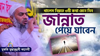 জান্নাত পেয়ে যাবেন খুব সহজে ৩টি কথা মানলে। mufti mustakunnabi kasemi মুফতি মুস্তাকুন্নবী কাসেমী