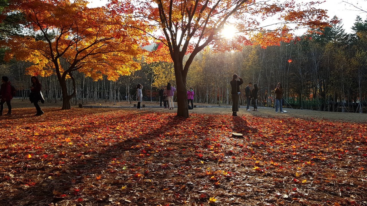 도신스님  - 홀로가는길 / 날이갈수록 / 님의향기 / 바람이전하는말 / 허무한마음 / 보고싶은얼굴