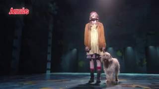 Annie - Sunderland Empire - Atg Tickets