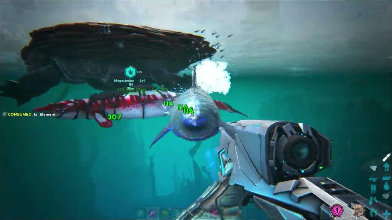 ARK Megachelon Taming on the WiredCat Cluster Servers Gen 1 Map YouTube