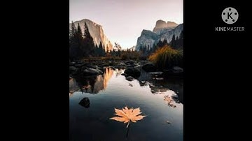 تلاوة خاشعة مبكية للشيخ رعد الكردي من سورة طه