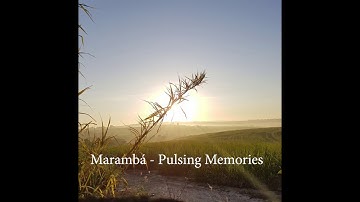Marambá - Pulsing Memories [180]