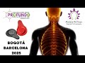 Biomagnetismo Profundo especialización en Barcelona y Colombia