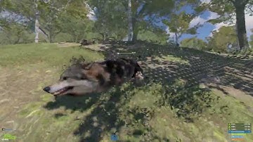 ТАНЦУЮЩИЙ ВОЛК  раст/rust