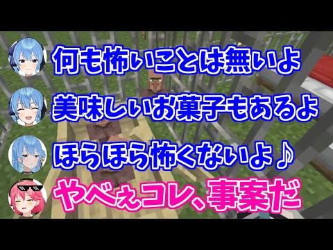 あまりにも事案すぎる星街すいせい【星街すいせい/さくらみこ】【ホロライブ切り抜き】