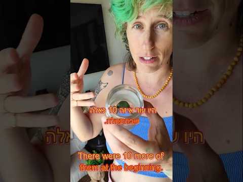 נועה מספרת על התהליך