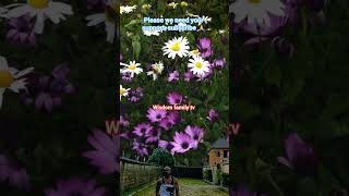 creative work using flower design to do sky replacement #work #sky