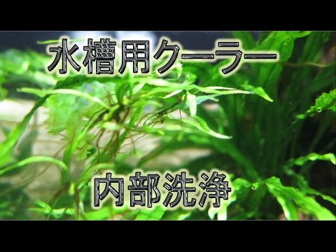 水槽用クーラーの内部洗浄