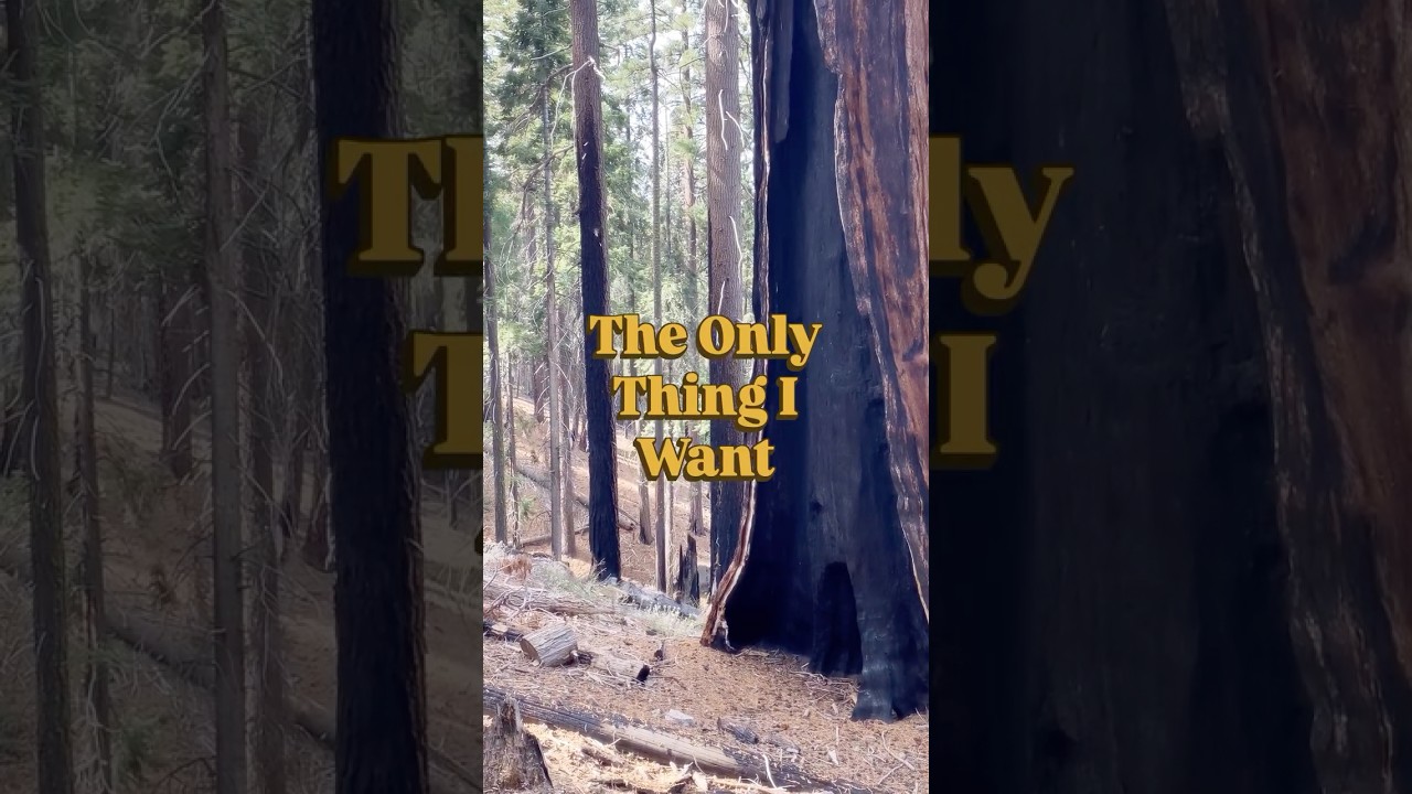 The Only Thing I Want #indieartist #musicproducer #beatmakers #musicbusiness #lifelessons