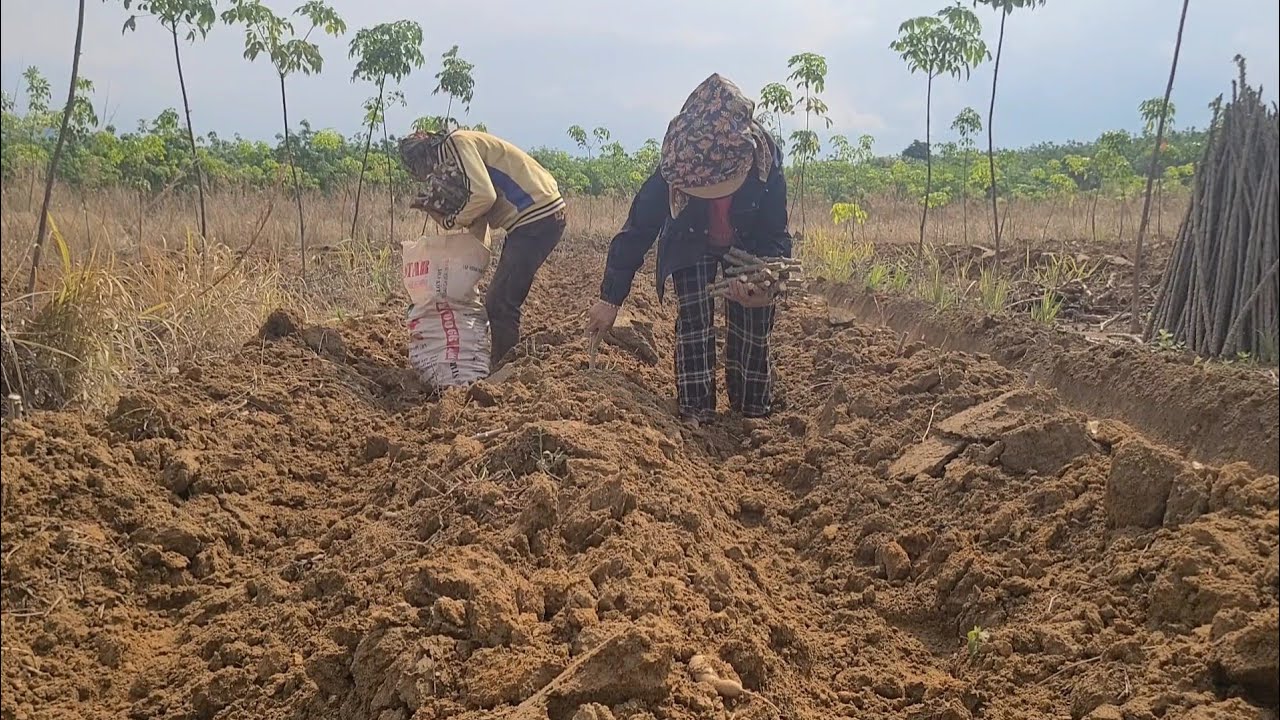 Hnub no mus nrog niam ntxawm coj qo