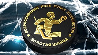17 турнир на призы Всероссийского Клуба юных хоккеистов &quot;Золотая шайба&quot; г. Вельск  2022г