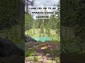 Hidden Campsite