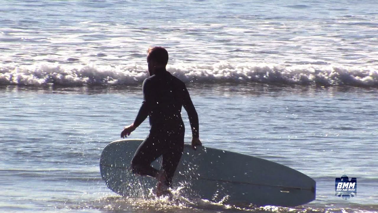 SUNNY DAYS W/BUCKY BARRY, BRENDAN WHITE AND NOAH SHIMABUKURO