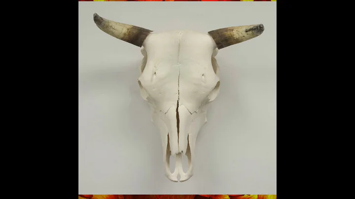 How It's Made: Amy M. Ditto "Flowers & Skulls" Ser...