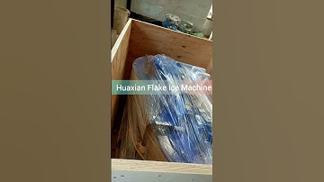 Flake ice making machine to keep fish fresh.