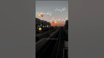 عصام صاصا الحال دة داير لي تعتبر حد غلط يوم 