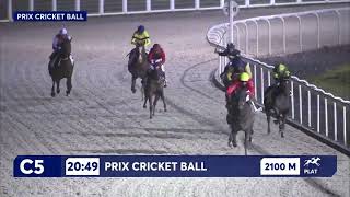 Vidéo de la course PMU PRIX CRICKET BALL