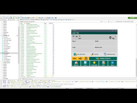 Flynet Inserimento dati MSSQL o CSV