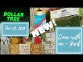 WHAT&#39;S NEW AT DOLLAR TREE | COME WITH ME &amp; HAUL | Jan 23, 2019
