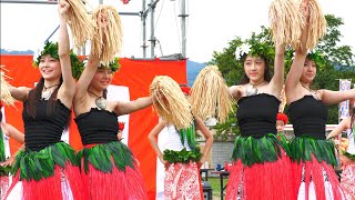 フラダンスタヒチアンダンス タヒチアンダンス•フラダンス】 That's Y.G.Club ① 夢トピア星置 夏の