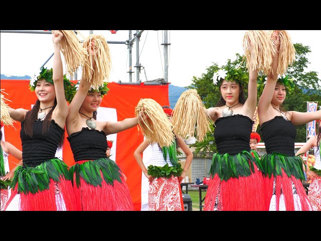 フラダンスタヒチアンダンス タヒチアンダンス•フラダンス】 That's Y.G.Club ① 夢トピア星置 夏の