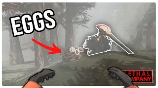 We Tried Stealing Her Eggs... screenshot 5