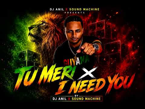 Tu Meri x I need you by dj anil x sound machine