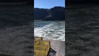 Dropping Lobster Traps by the Island