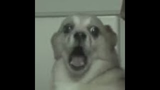 Zue I Exilerp.eu Richrp.pl