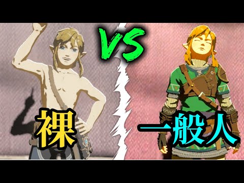 一般人と裸の扱いの違い【ブレワイ】