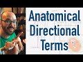 Mastering Anatomical Terminology for Precise Medical Communication