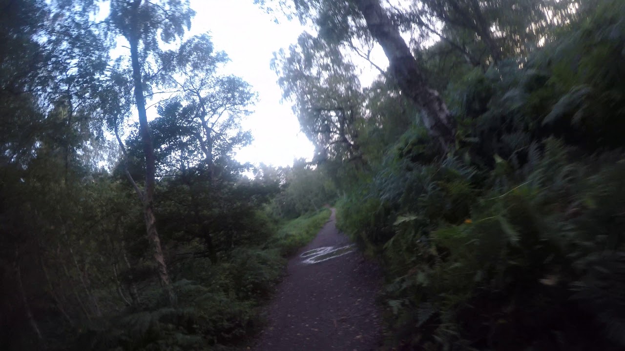 Trying Find A Wild Camping Spot At Cannock Chase Youtube