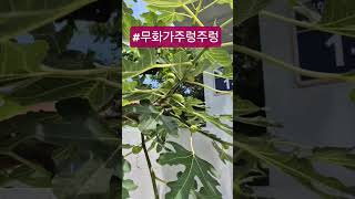 #장민호신곡 #장민호팬덤 #김희재 #정동원 #트로트 #미스트롯 #미스터트롯 #장민호 #사랑의콜센타 #임영웅 #미스터트롯2 #시간차